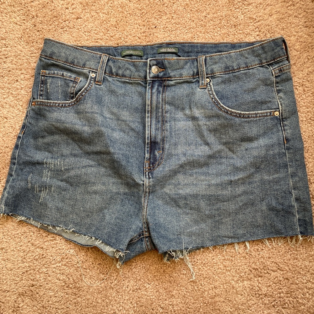 High Rise Denim Shorts